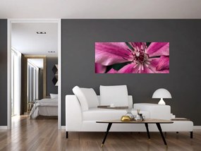 Rózsaszín flamingóvirág képe (120x50 cm)