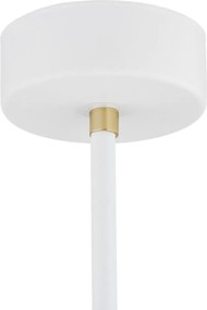 Argon CHARLOTTE 4684 Függőlámpa 1x15W/E27 IP20