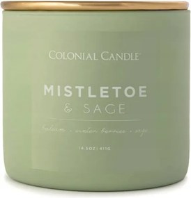 Pop Of Color Mistletoe &amp; Sage illatgyertya