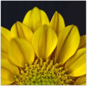 Poszterek 100x100 Nőnap Ajándék Love