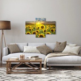 Kép - Napraforgók naplementében (90x60 cm)