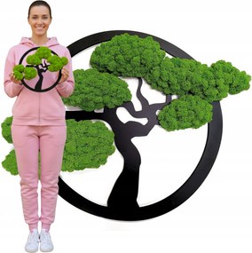 Moha Kép Moha Élő Bonsai Fa Dekoráció