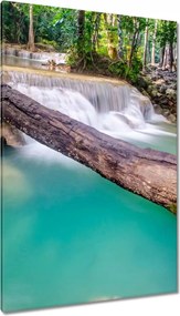 Vászonkép 80x120 Kidőlt fa