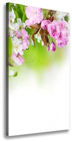 Egyedi vászonkép Tavaszi virágok ocv-79458656