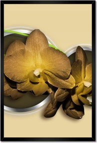 Poszterek keretben 40x60 Tea leander