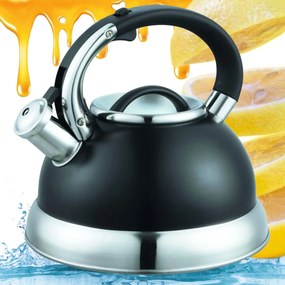 Indukciós Vízforraló Acél Fekete Tedi Űrtartalom 2,8L Koko Síppal