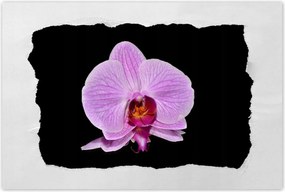 Poszterek 90x60 Lila orchidea