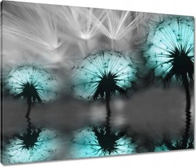 Vászonkép 80x60 Türkiz pitypangok Víz