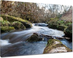 Vászonkép 100x70 Okos hegyi folyó