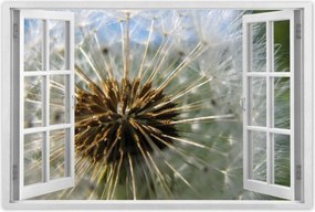 Poszterek 60x40 Pitypang Virág Virágok