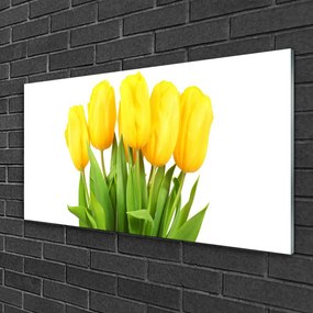 Akril üveg kép Tulipán virágok Plant 125x50 cm