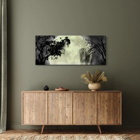 Kép - Telihold a felszín felett, fekete-fehér változat (120x50 cm)