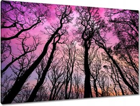 Festmények 120x80 Tájkép Látvány