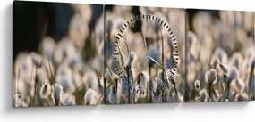 Kép - Keskenylevelű gyapjúsás (órával) (90x30 cm)