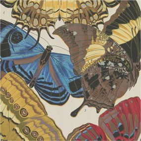 Divatos Flizelin Fali Tapéta Furnér Pillangók inspiráció 250x250 Ragasztó