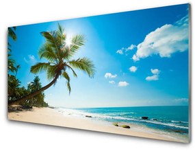 Akril üveg kép Palm Tree Beach Landscape 100x50 cm