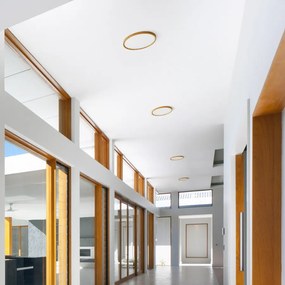 RENDL LANA 40 přisazená dekor buk/plast 230V LED 32W 3000K 4000K 6000K