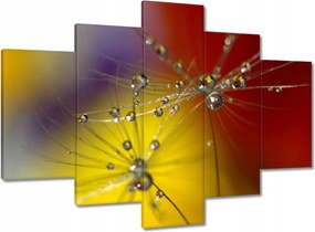 Képek 150x105 Pitypang Virág Virágok