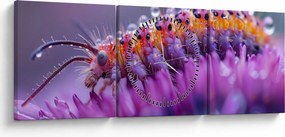 Kép - Caterpillar (órával) (90x30 cm)