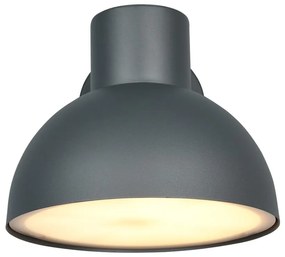 Fali kültéri lámpa (magasság 18,5 cm) Elbe – Trio