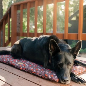 Barna utazó fekhely kutyáknak 50x75 cm Outdoor Chill Pad Mocha M – P.L.A.Y.