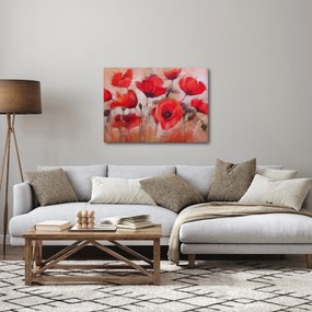 Kép - Farkas mák (70x50 cm)