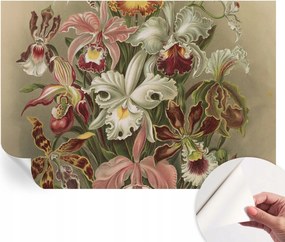 Dekoratív Öntapadós Tapéta Divatos Minták Virágos elegancia 152x104 cm