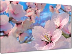 Vászonkép 120x80 Gyönyörű virágok