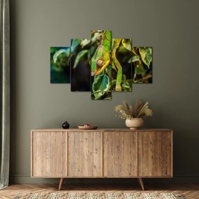 Kaméleon képe (150x105 cm)