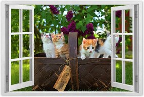 Poszterek 120x80 Cica Cicák