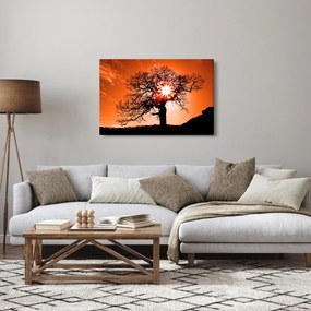 Kép - Tölgy napnyugtakor (90x60 cm)
