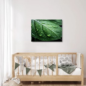 Üveg kép - Részlet levél eső után (70x50 cm)