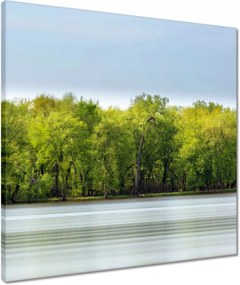 Vászonkép 50x50 Erdő Tó Ég