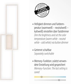 Paul Neuhaus modern mennyezeti lámpa asmin acél pln14711-55