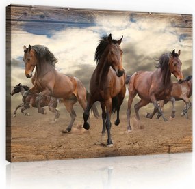 Vászonkép 70x50 Galoppozó lovak Dinamika és szabadság rusztikus stílusban