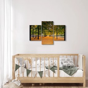 Egy kép az őszi fák sikátorából (90x60 cm)