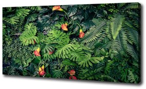 Vászonkép nyomtatás Egzotikus dzsungel oc-117285228