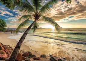 Fotótapéta Tengerpart Naplemente Pálmafák Pihenés Szellő Paradicsom 350x250 +ragasztó
