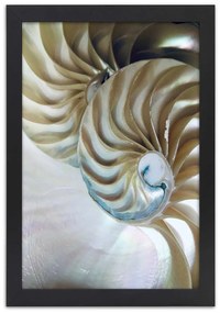Gario Poszter Egy kagyló belseje A keret színe: Fekete, Méret: 70 x 100 cm