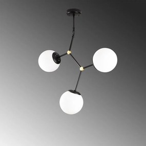 Damar - 6316