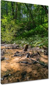 Vászonkép 80x120 Folyó Trópusi erdő