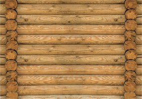 Fotótapéta flizelina Fa rönk fal látványos dekoráció 254x184 +ragasztó