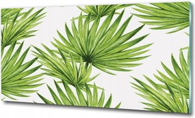 Kép akril üvegen Trópusi levelek
