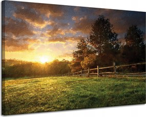 Vászonkép Nap Tájkép Falusi fák Rét 120x80 cm