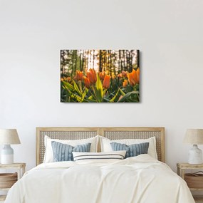 Kép - tulipánok (90x60 cm)