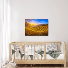Kép - Rizs teraszok Vietnamban (70x50 cm)