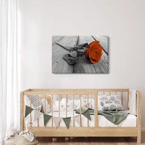 Kép - Narancs Rózsa (90x60 cm)