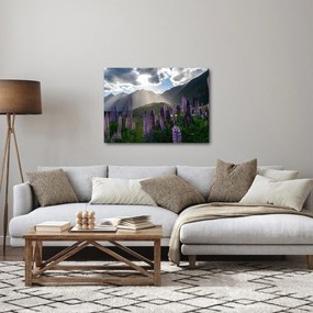 Kép - Csillagfürt táj (70x50 cm)