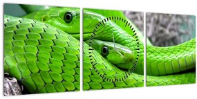 Zöld kígyók képe (órával) (90x30 cm)