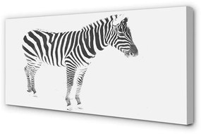 Canvas képek festett zebra 100x50 cm